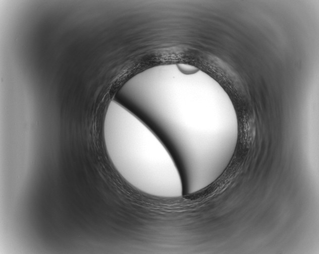 X0000098220228200804241140