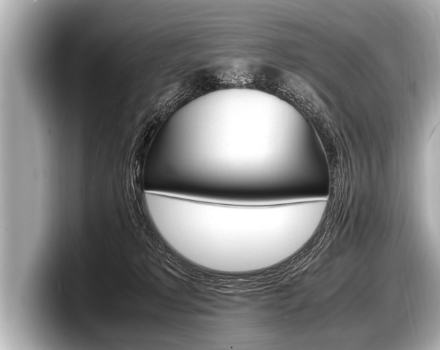 X0000098220229200804241140