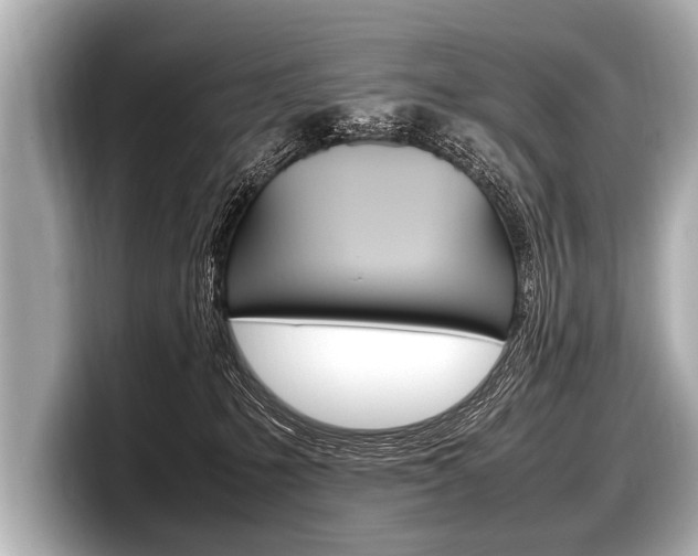 X0000098220231200804241140