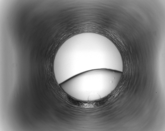 X0000098220232200804241140
