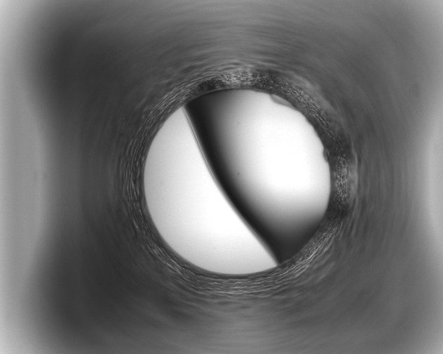 X0000098220233200804241140