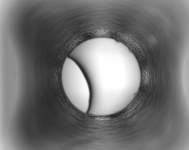X0000098220234200804241140
