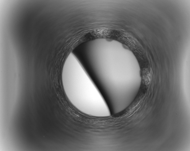 X0000098220235200804241139