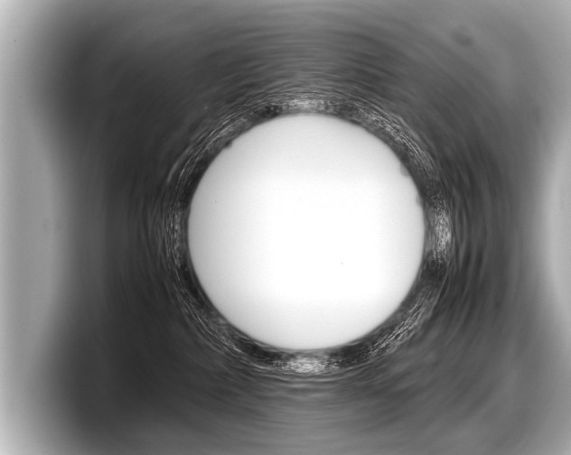 X0000098220236200804241139
