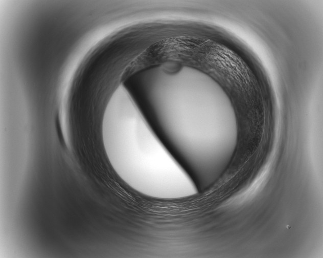 X0000098220239200804241139
