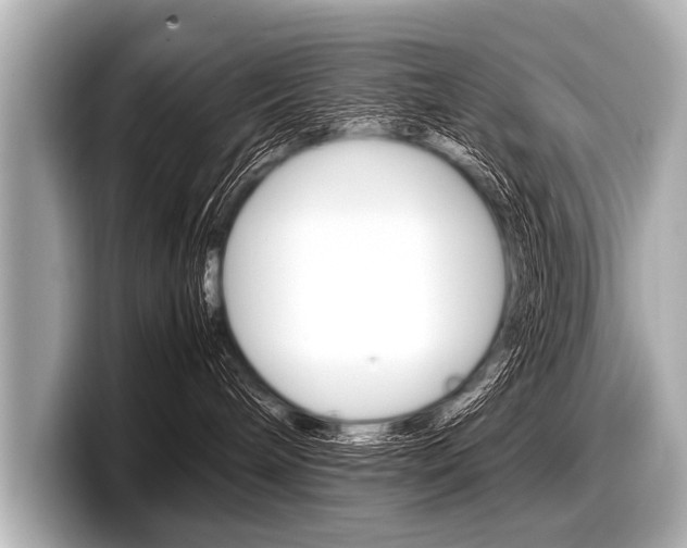 X0000098220240200804241139