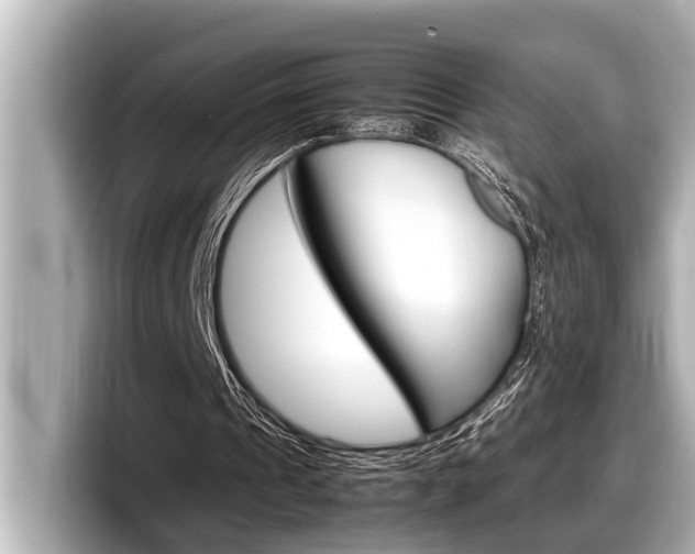 X0000098220241200804241139