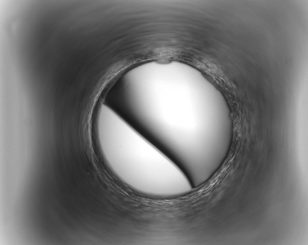 X0000098220242200804241139