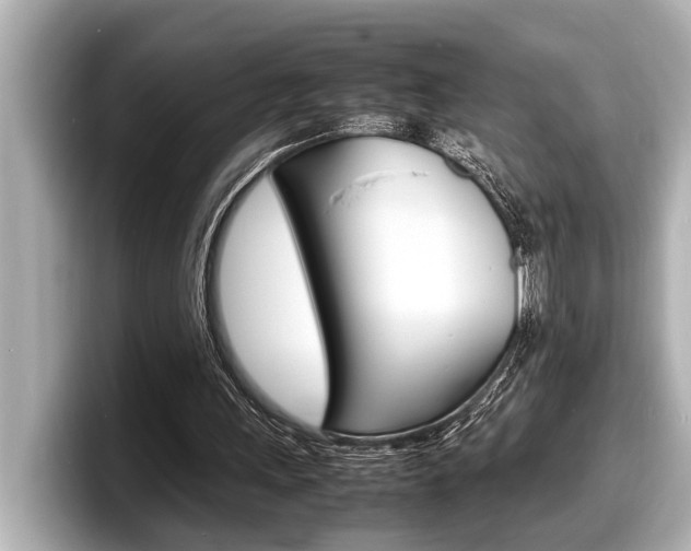 X0000098220243200804241139