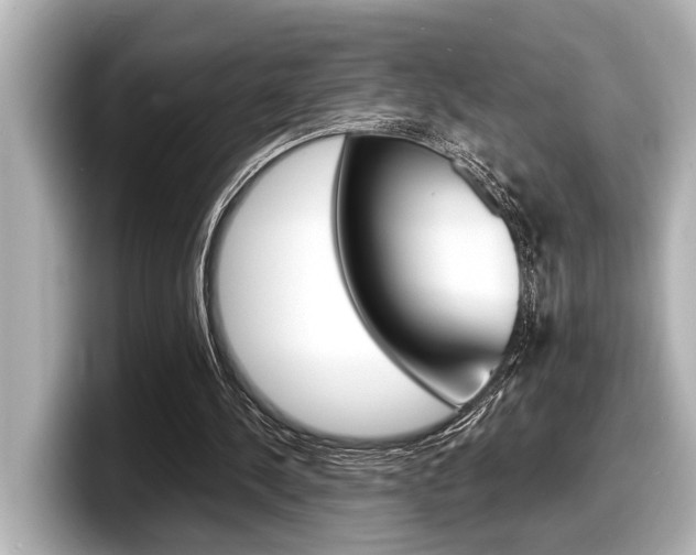 X0000098220244200804241139