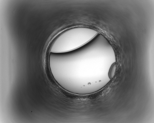 X0000098220247200804241139