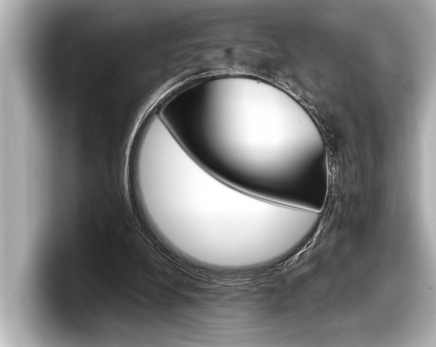 X0000098220248200804241139