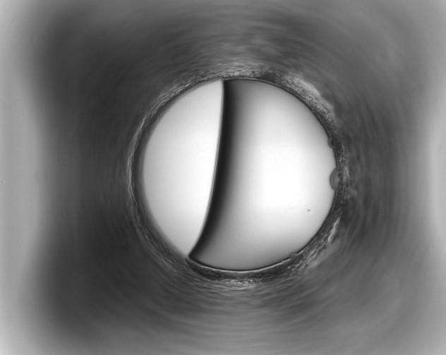 X0000098220250200804241139
