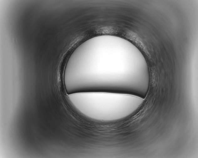 X0000098220251200804241139