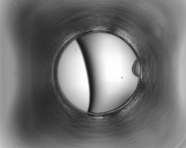 X0000098220253200804241139