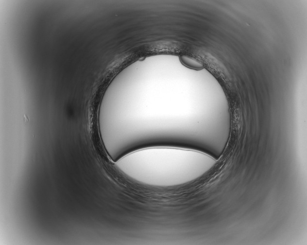 X0000098220255200804241139