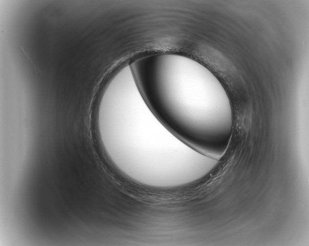 X0000098220256200804241139