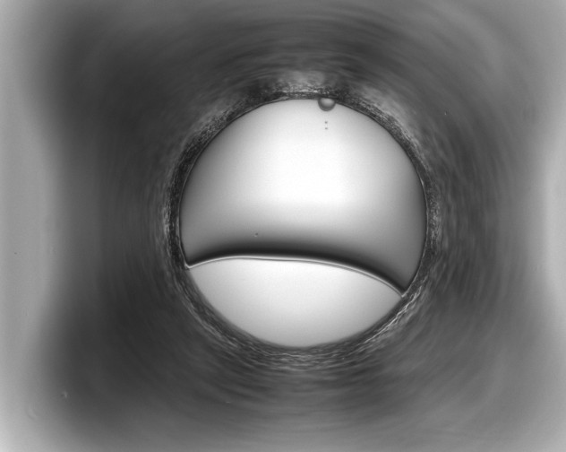 X0000098220257200804241139
