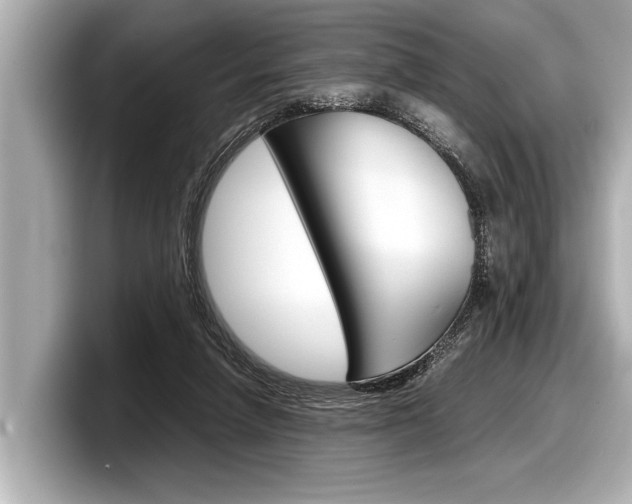 X0000098220258200804241139