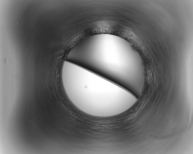 X0000098220259200804241139