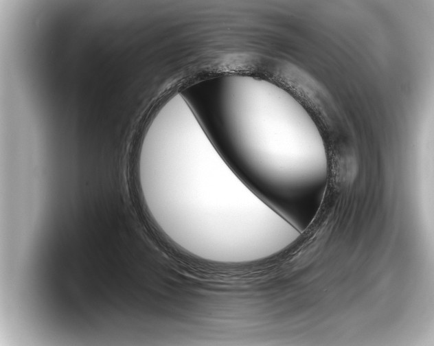 X0000098220260200804241139