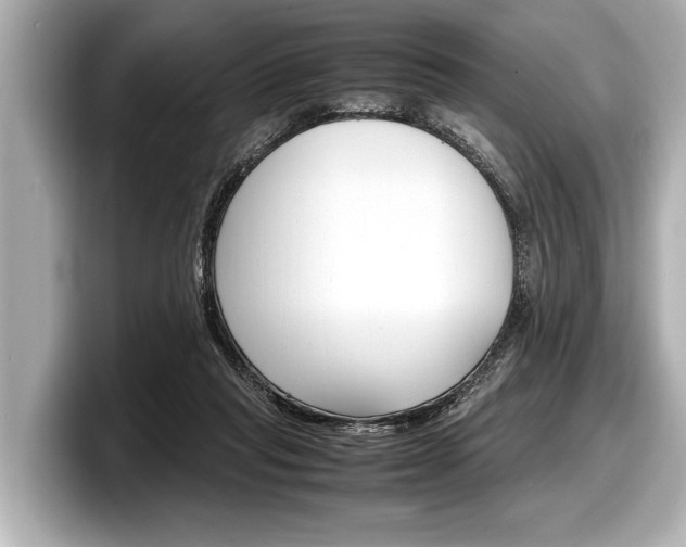 X0000098220261200804241139