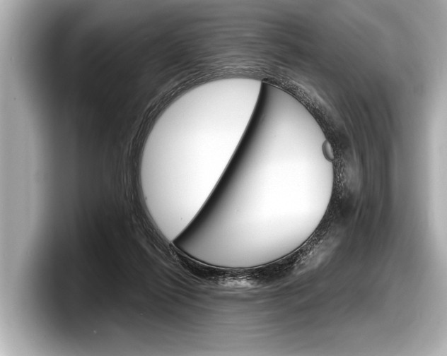 X0000098220262200804241139