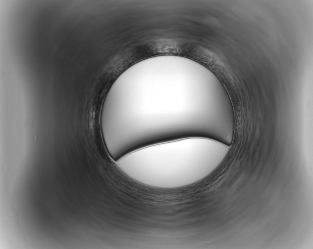 X0000098220263200804241139
