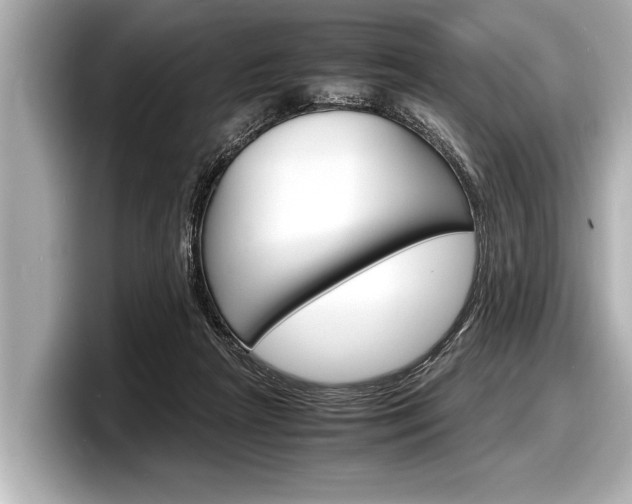 X0000098220265200804241139