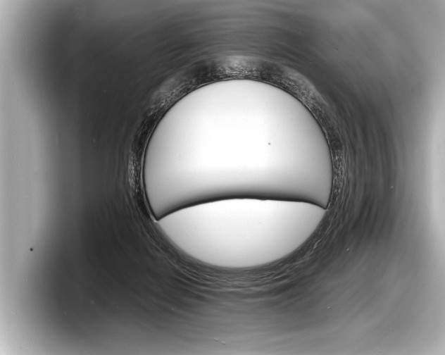 X0000098220266200804241139