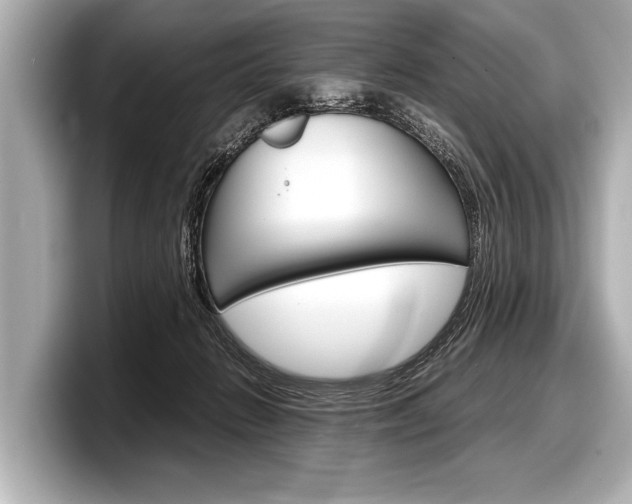 X0000098220270200804241139