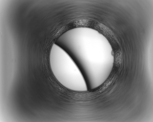 X0000098220282200804241139