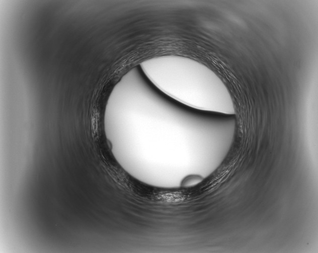 X0000098220283200804241139