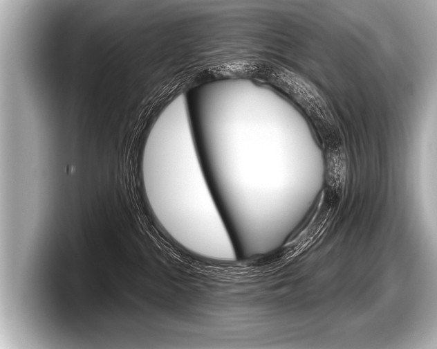 X0000098220284200804241139