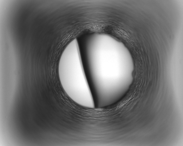 X0000098220288200804241139
