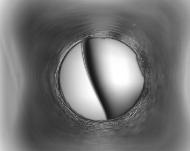 X0000098220289200804241139