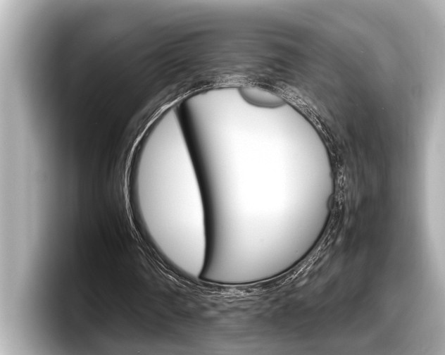 X0000098220290200804241139