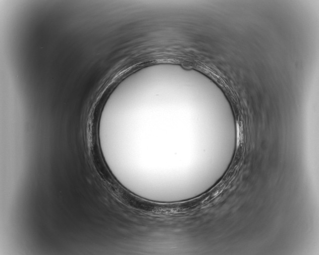 X0000098220291200804241139