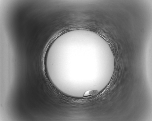 X0000098220293200804241139