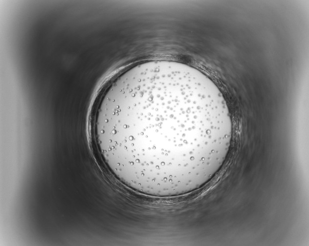 X0000098220294200804241139