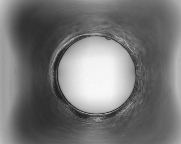 X0000098220295200804241139