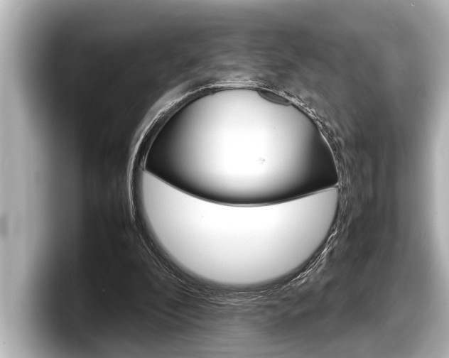 X0000098220296200804241139