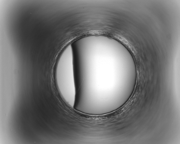 X0000098220297200804241139
