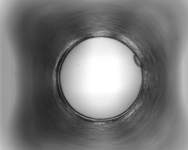 X0000098220298200804241139