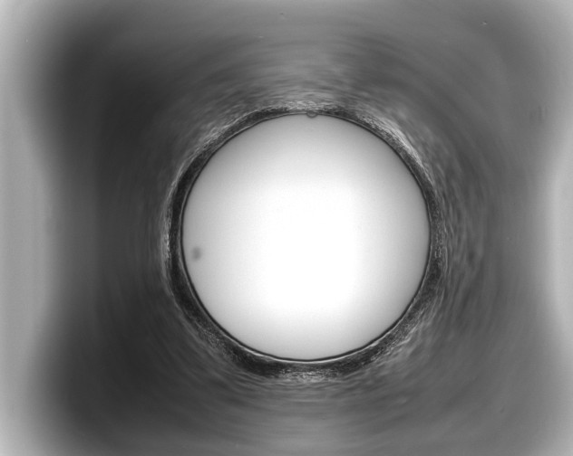 X0000098220299200804241139