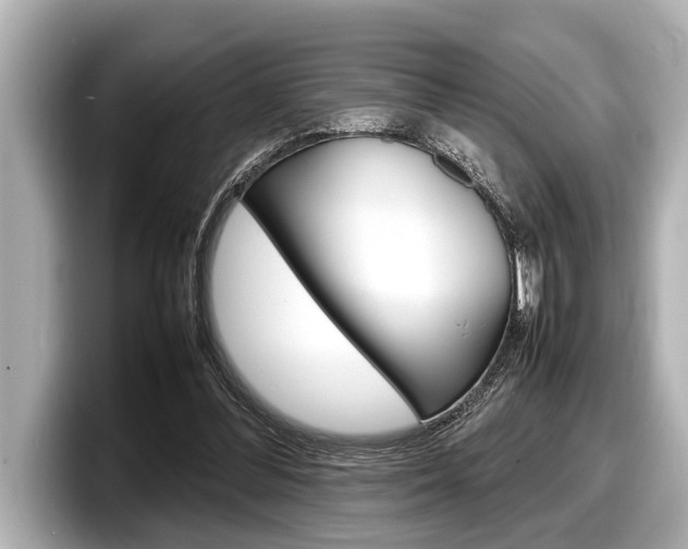 X0000098220300200804241139