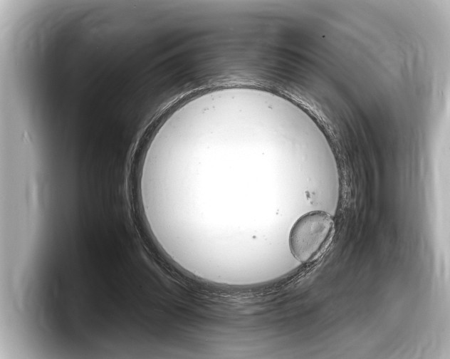X0000098220302200804241139