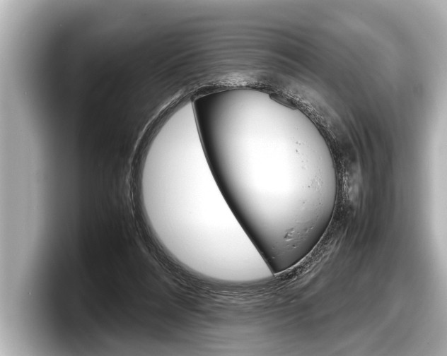 X0000098220304200804241139