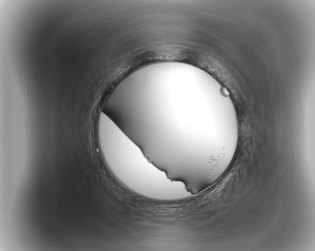 X0000098220305200804241139