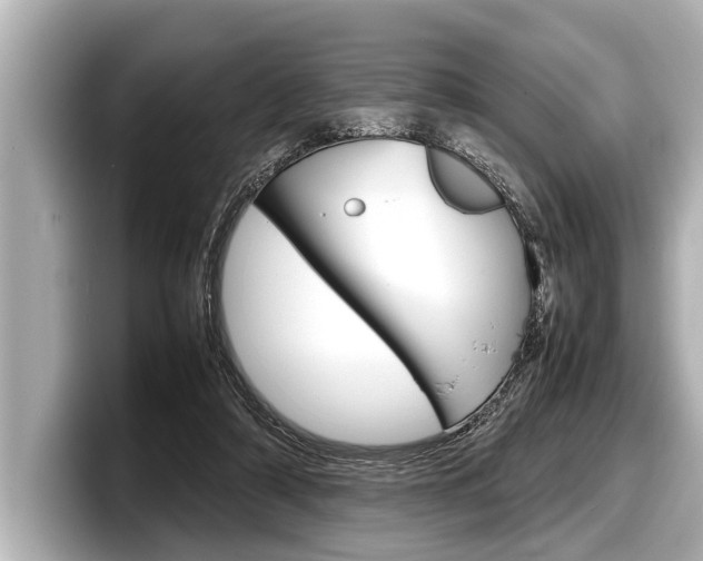 X0000098220306200804241139